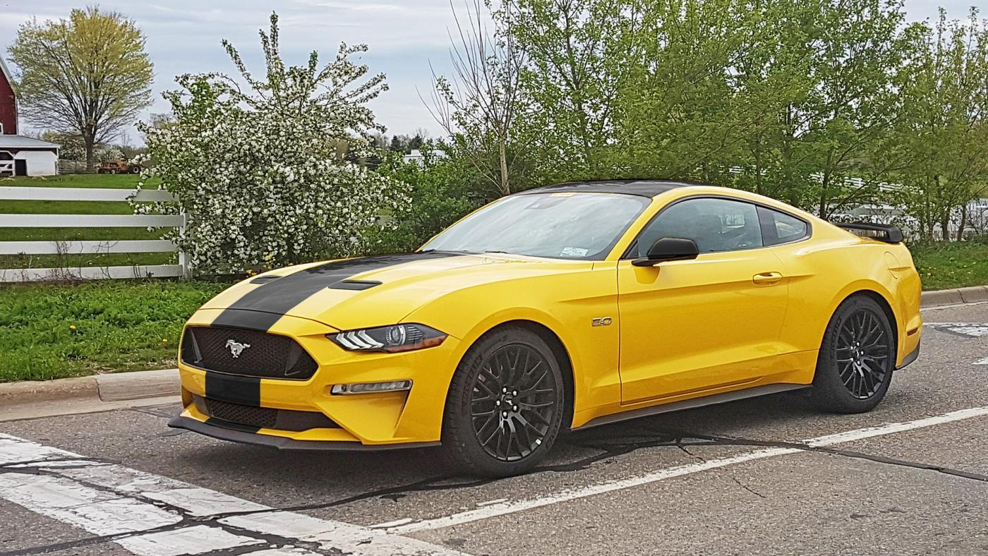 yellow_black.jpg