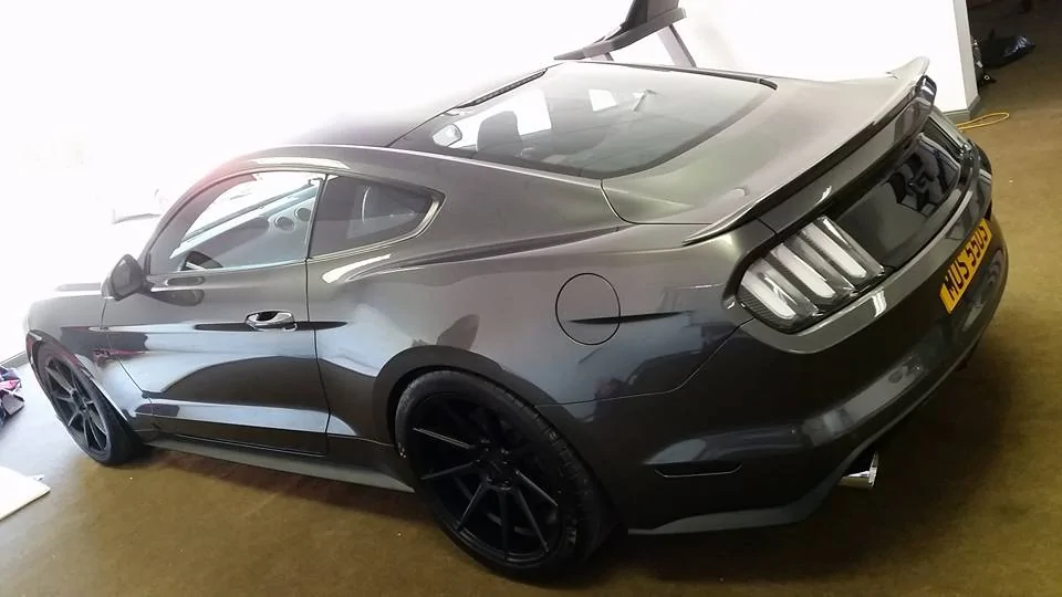 mustang.webp