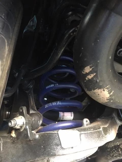 IMG_2568 h&r springs.webp