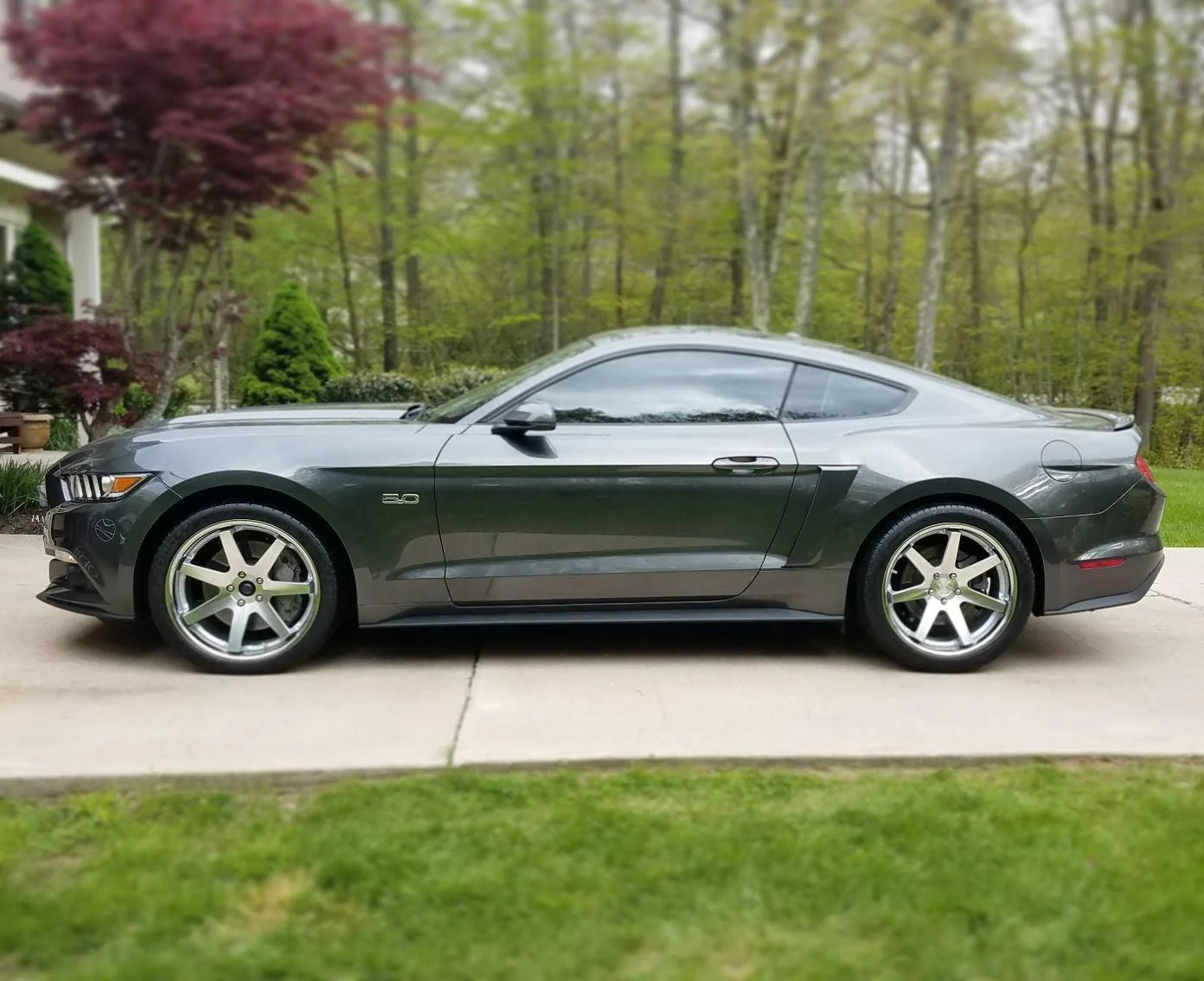new rims.webp