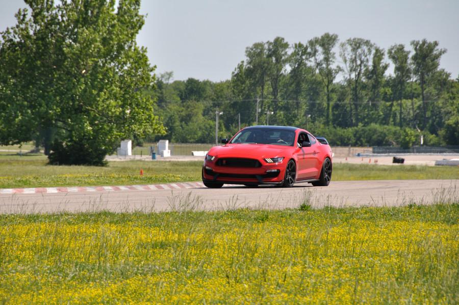 DSC_2657_sml.JPG
