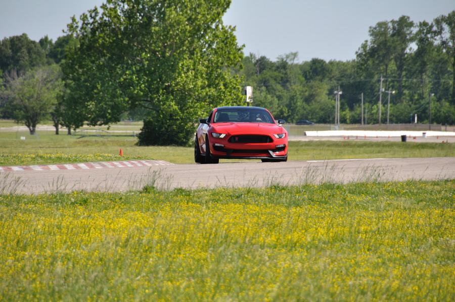 DSC_3007_sml.JPG