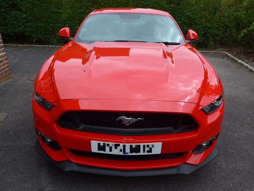 PeterE GT550 01.webp