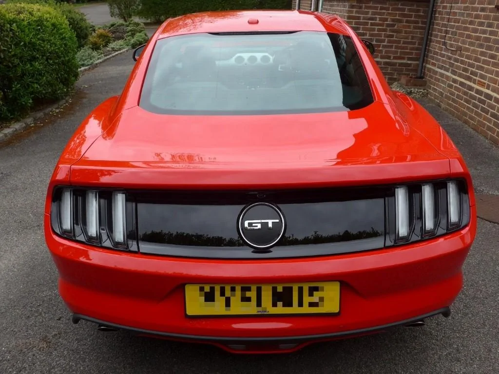 PeterE GT550 02.webp