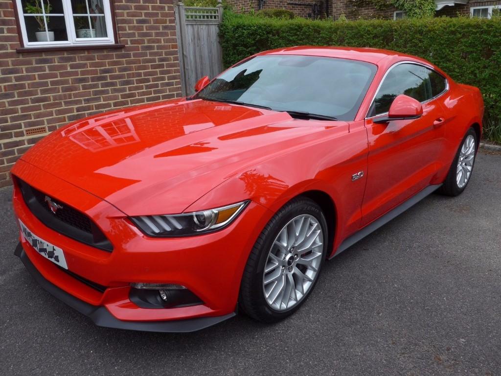 PeterE GT550 03.jpg
