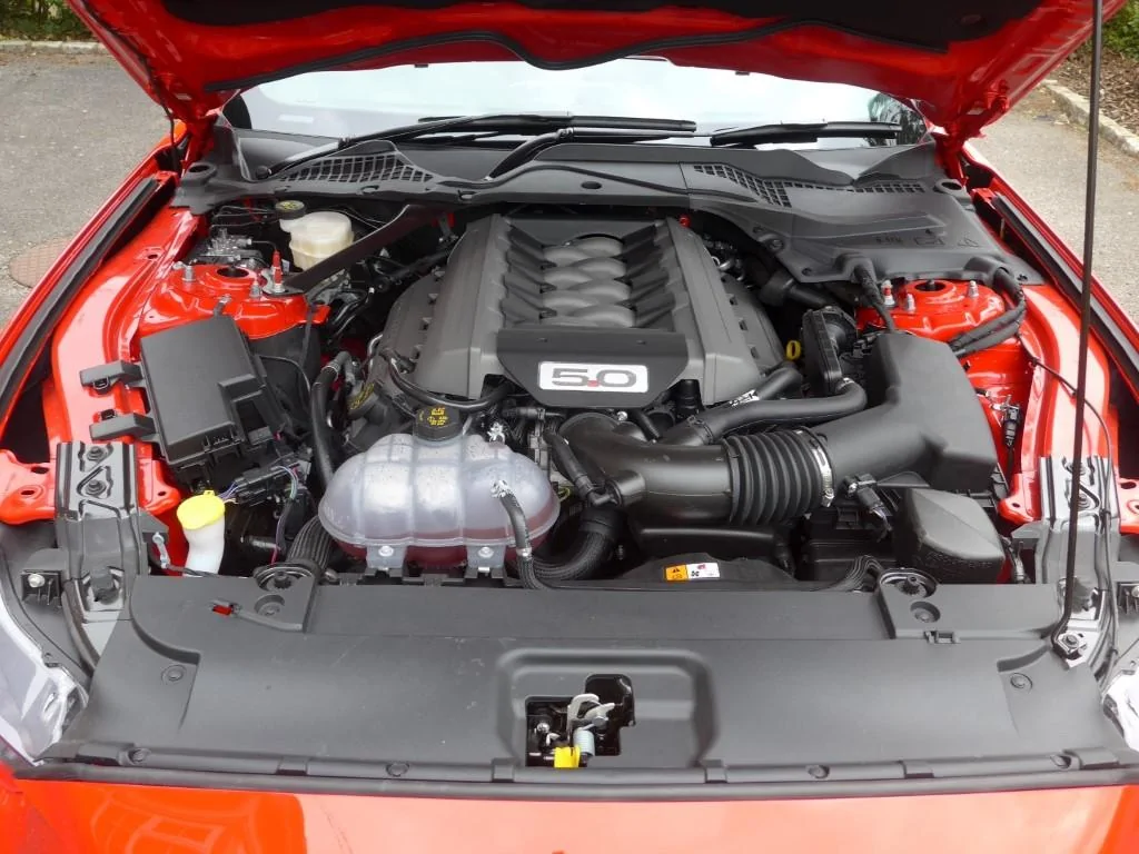 PeterE GT550 07.webp