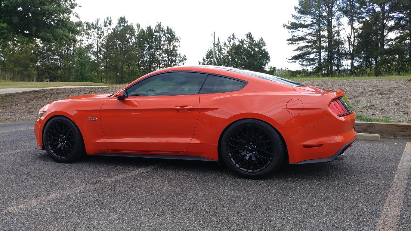 16gt0003.jpg