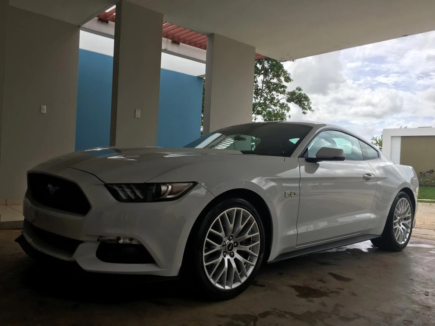 Pony Waxed 2.webp