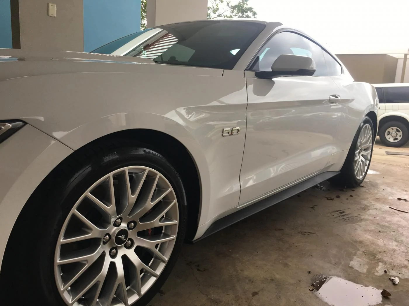 Pony Waxed.webp