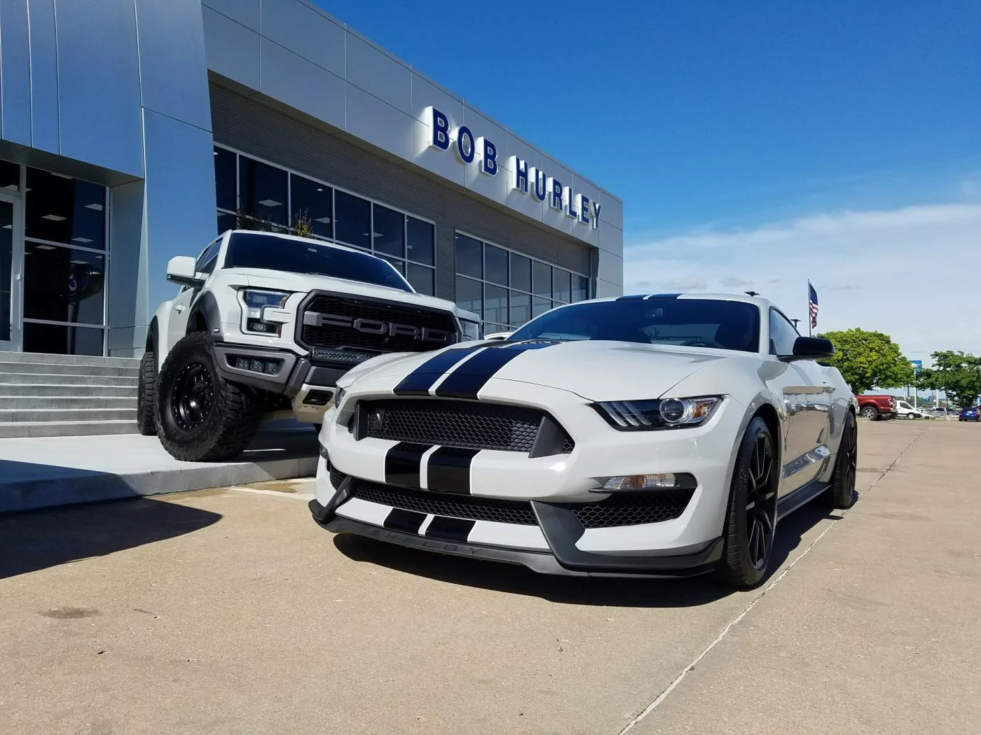 raptorstang.webp