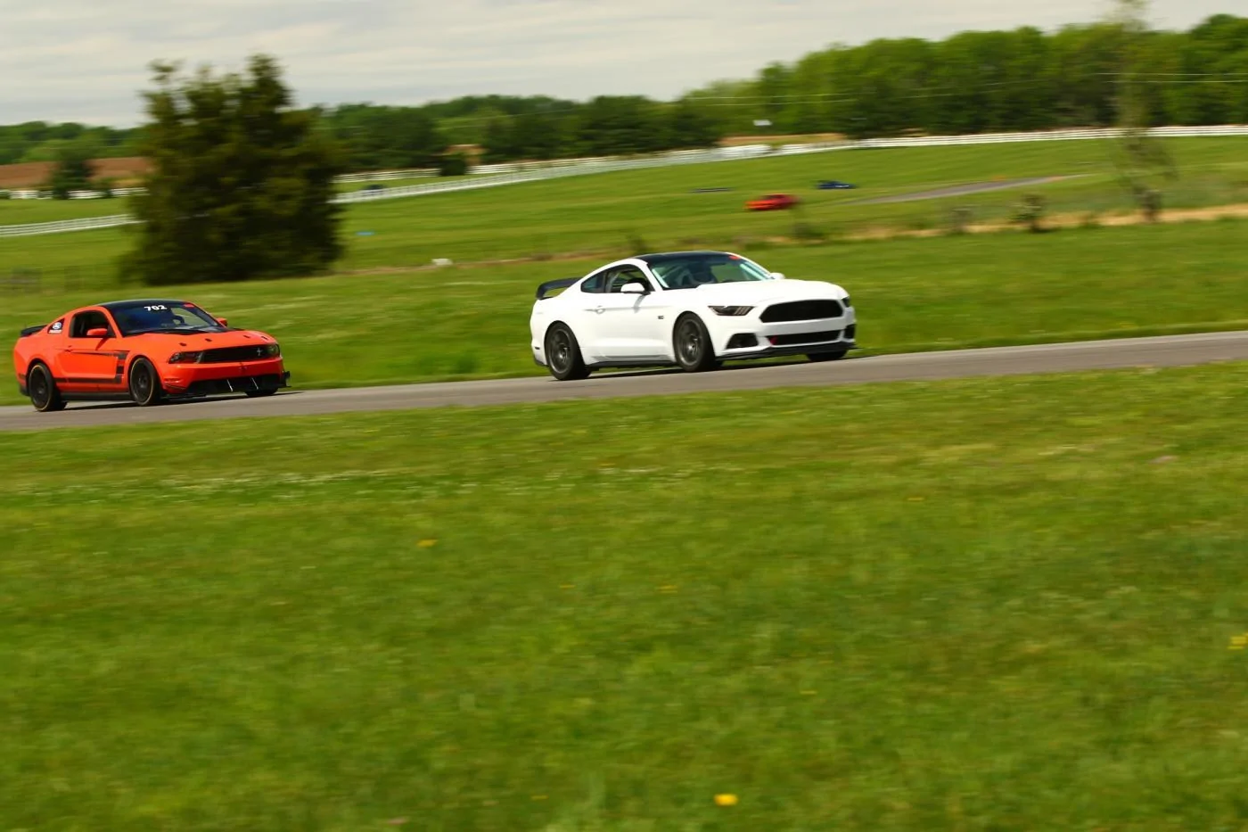 Chased by the Boss.webp