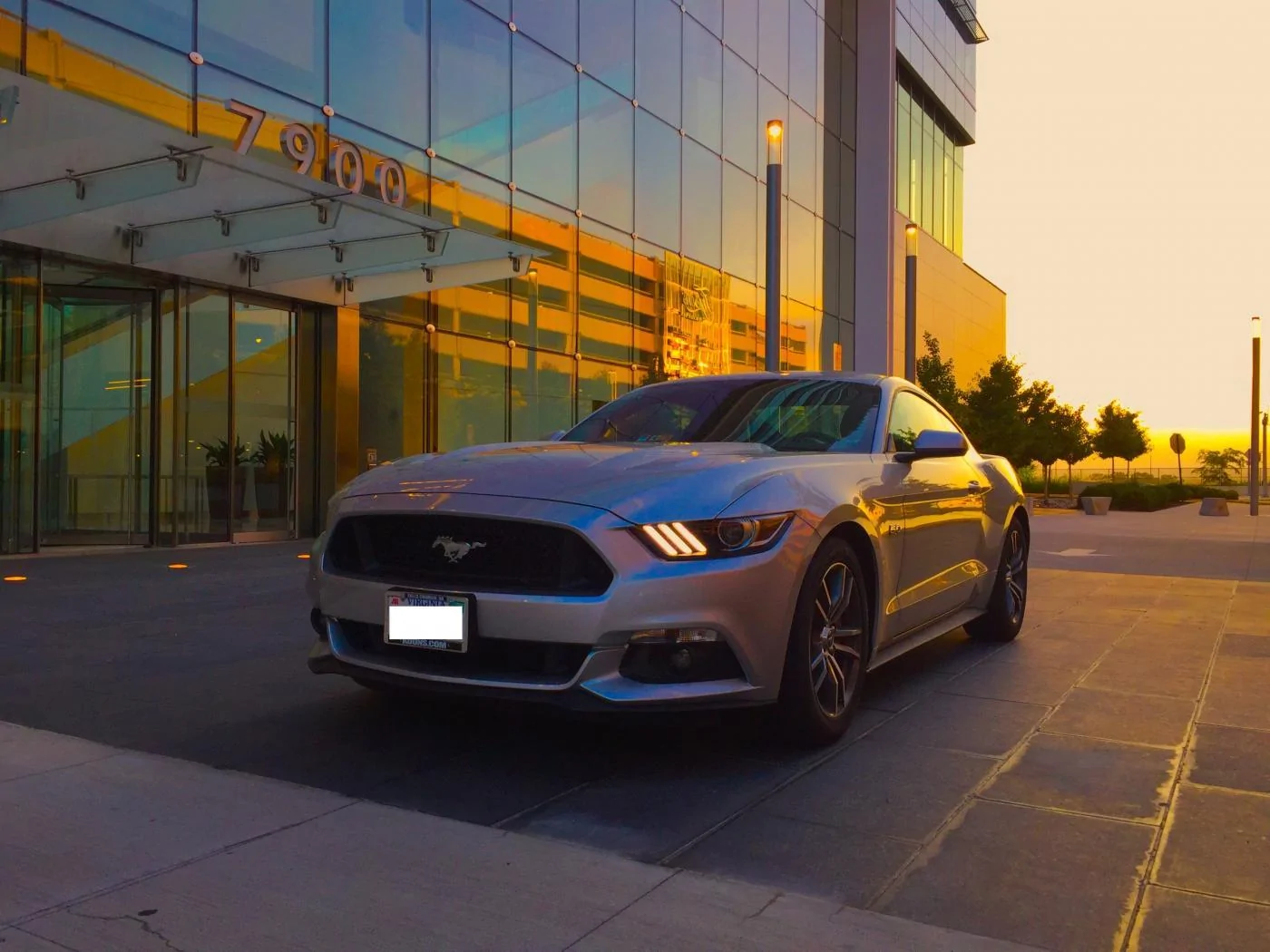 Mustang forum pic.webp