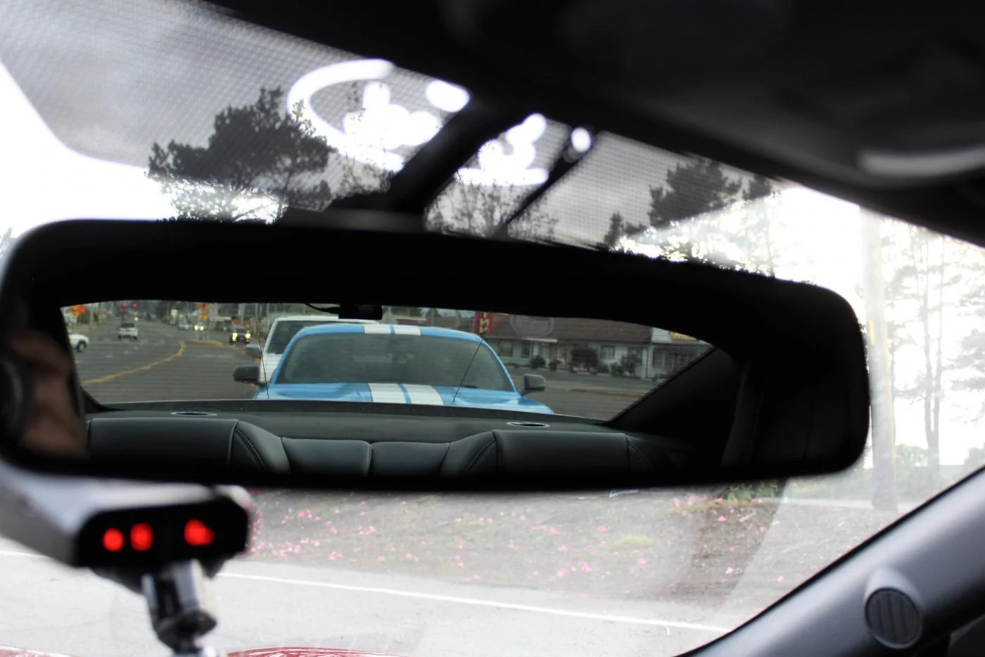 Nice rearview.webp