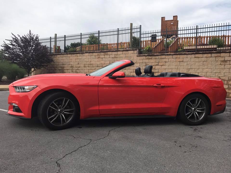 orangestang.jpg