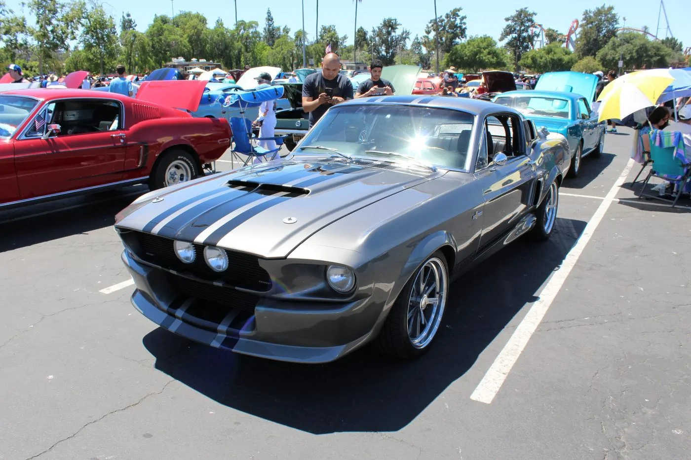34980080165_437645d66d_k.webp