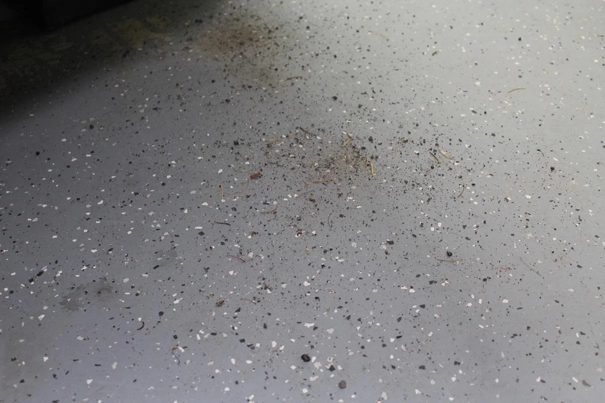 Floor dirt.webp