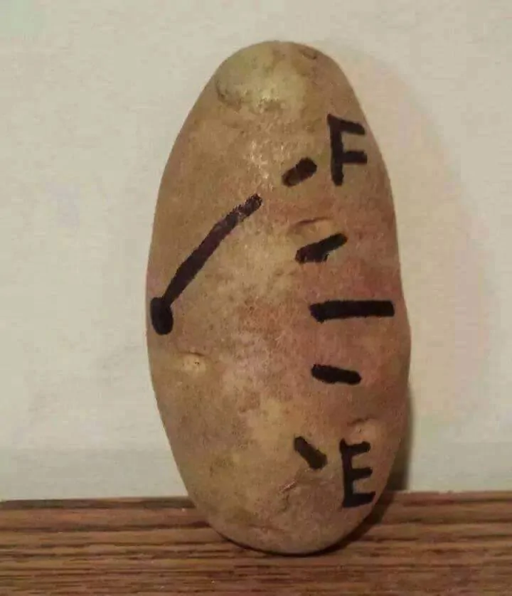 full potato.webp