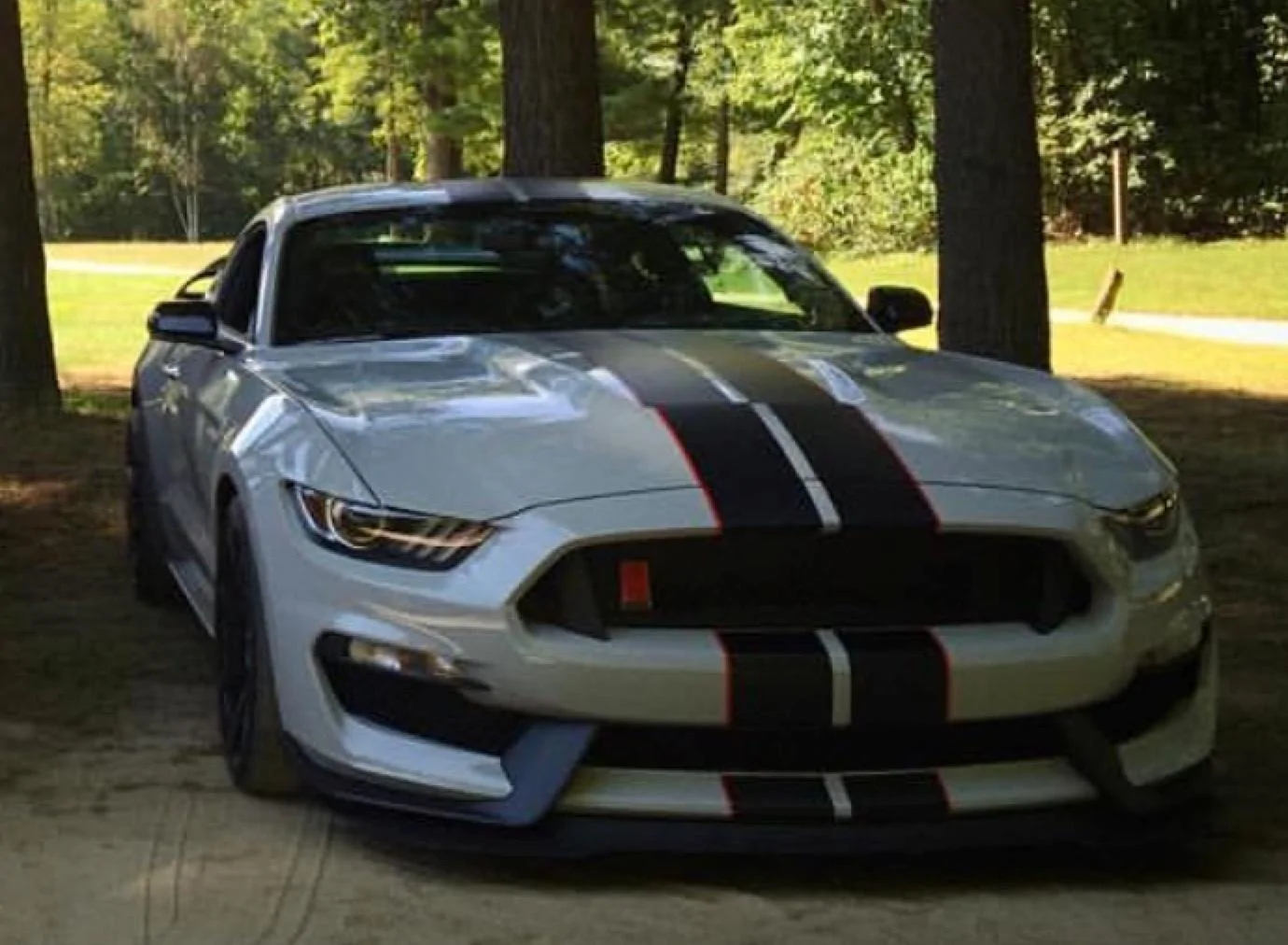GT350R AG under trees.webp