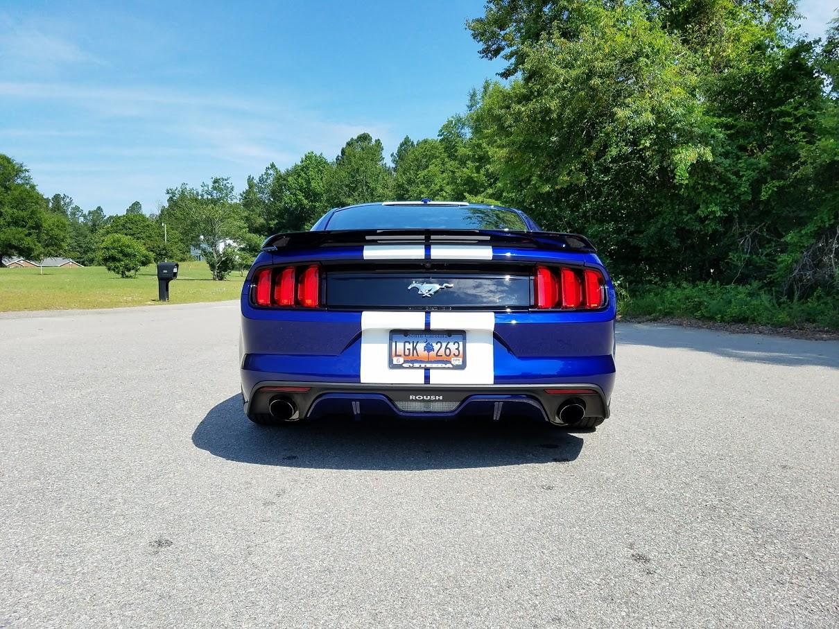 2015-rear-sun-6-3-17.jpg