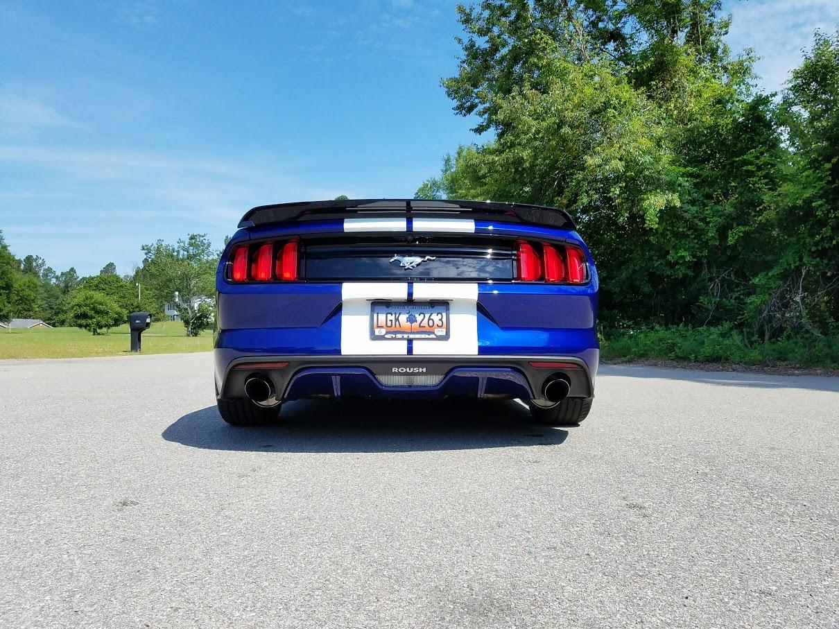 2015-rear-low-6-3-17.jpg