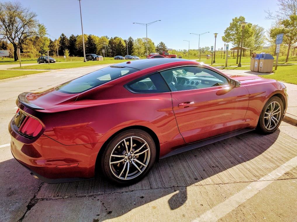 mustang2.jpg