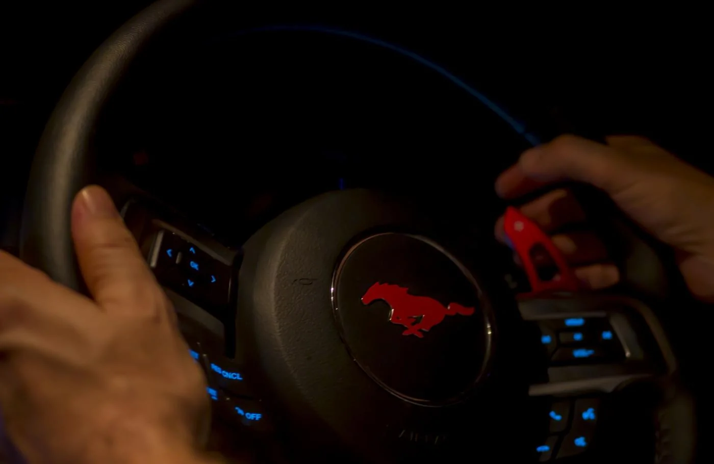 Focus on Pony.webp