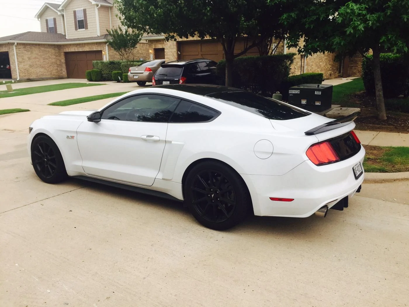 Stang5.webp