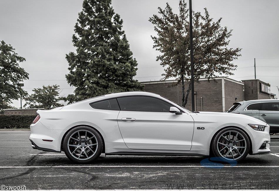 steeda-s550-sport-springs-progressive-2015-gt-white-gt.jpg
