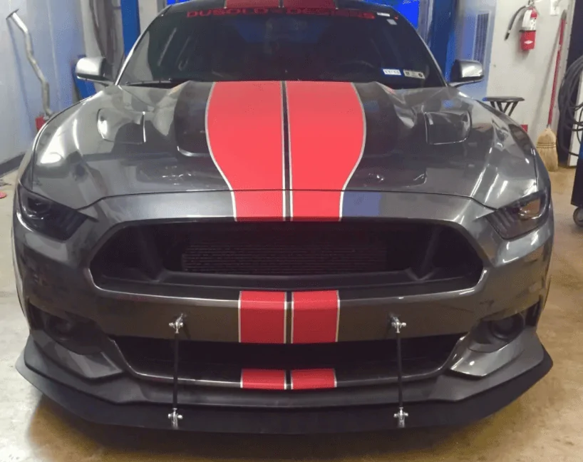 Grey BigWorm stripes.webp