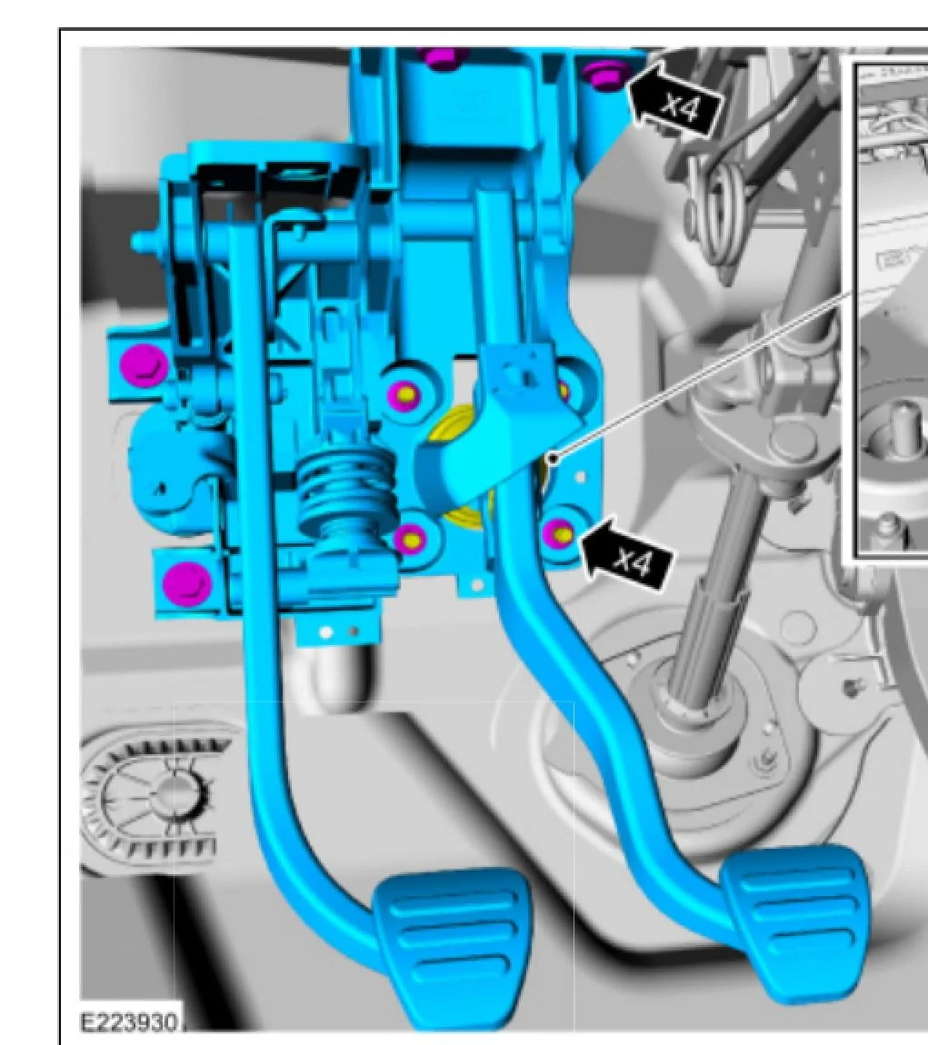 pedal.webp