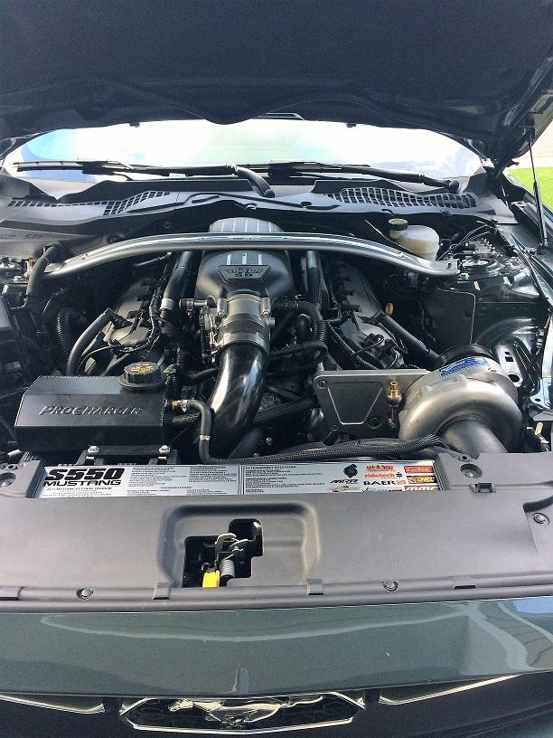 Mustang1.jpg