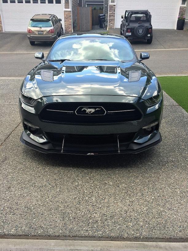 Mustang2.jpg