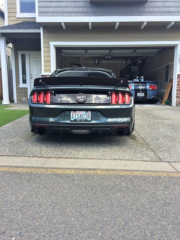 Mustang3.jpg