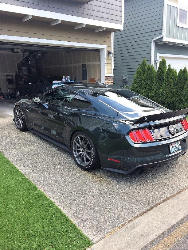 Mustang4.jpg