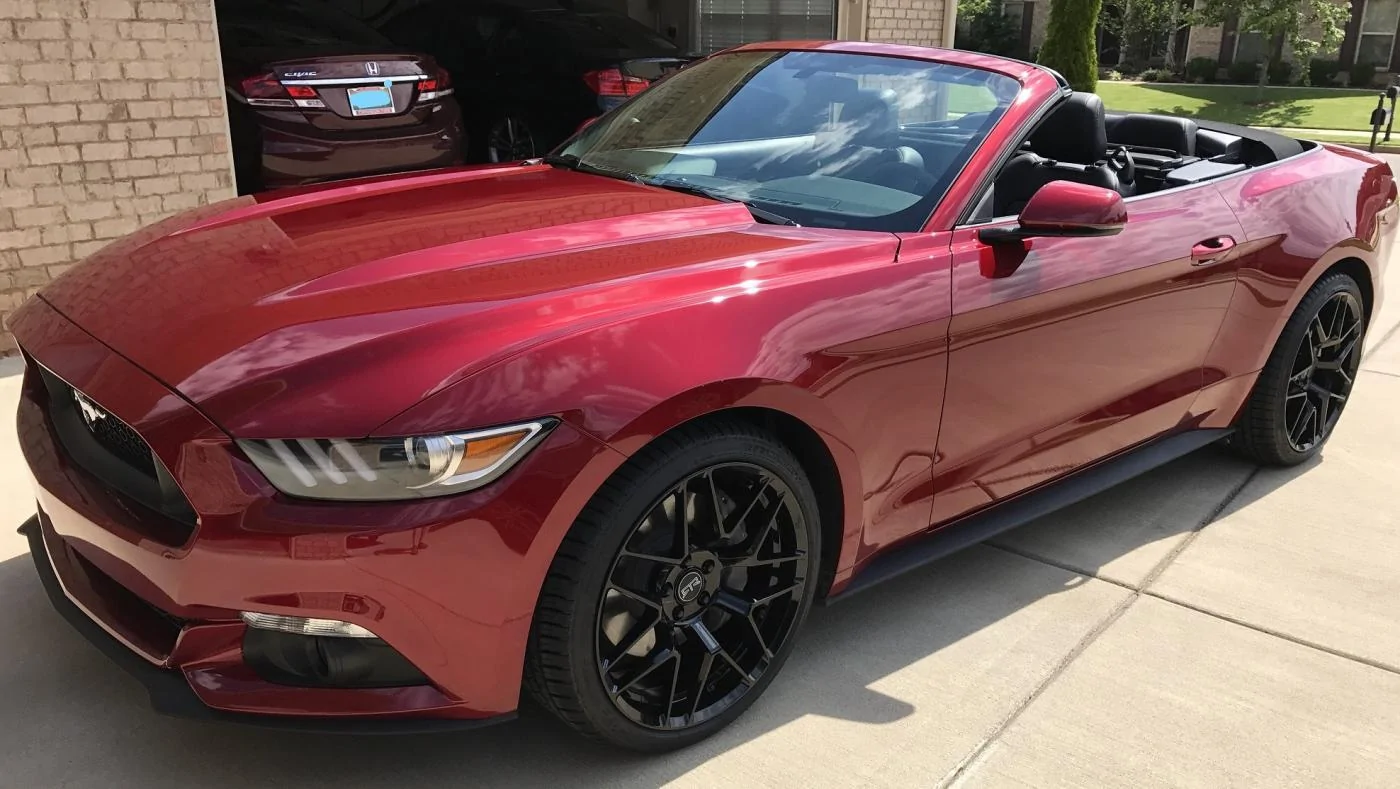 Stang1.webp