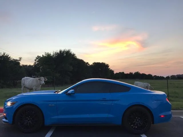 unnamed-1.webp