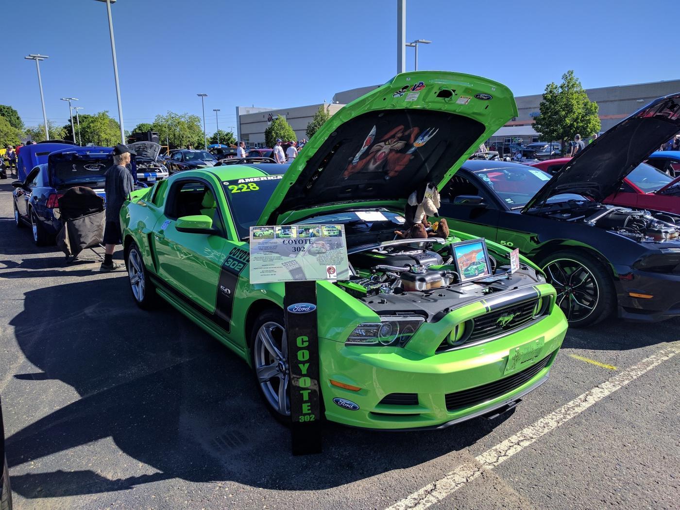 Mustang meet12.jpg