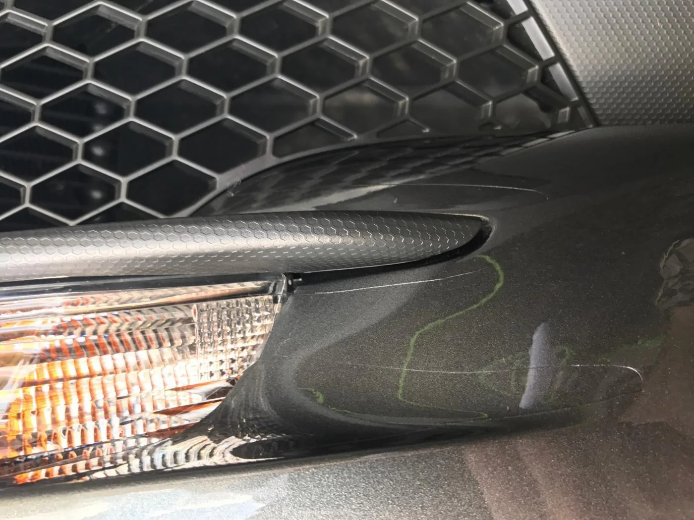 IMG_2233.webp