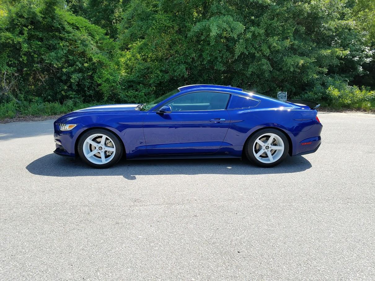 2015-driver-6-3-17.jpg