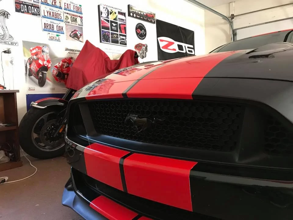 blackpony.webp