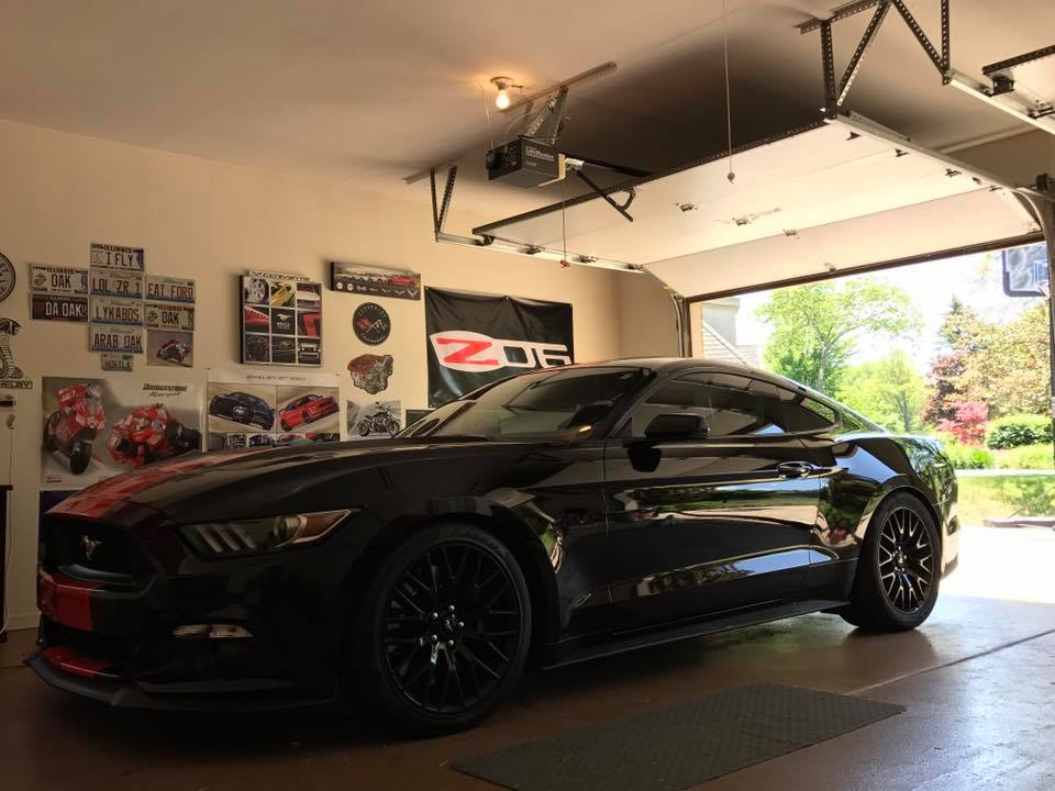 cleanstang.jpg
