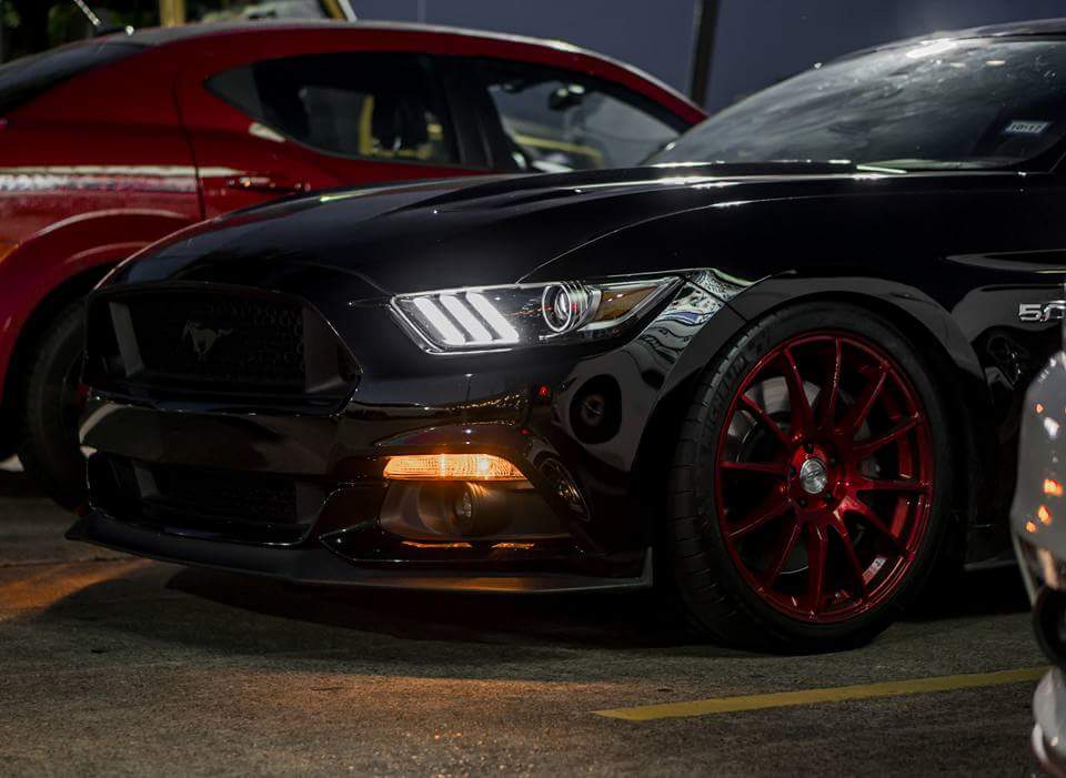front wheels.jpg