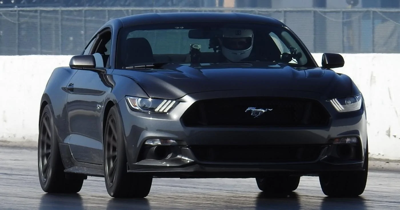 Mustang.webp