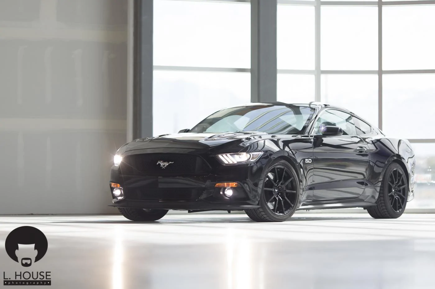 Mustang-006.webp