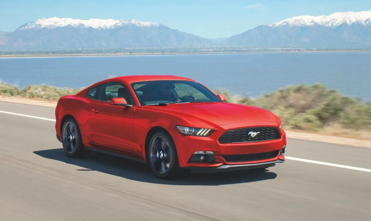 17_MUSTANG_V6.webp