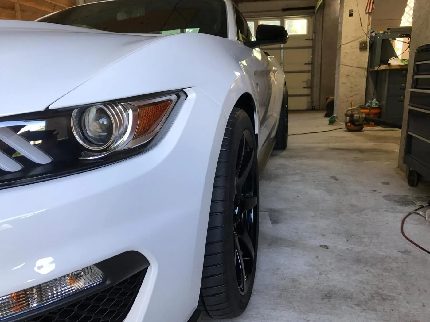 gt350rpilot.webp