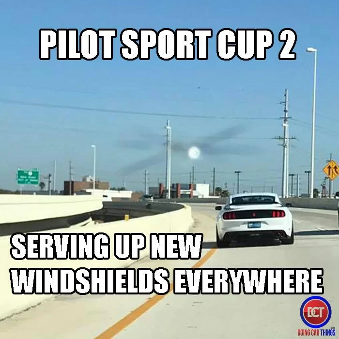 windshields.webp