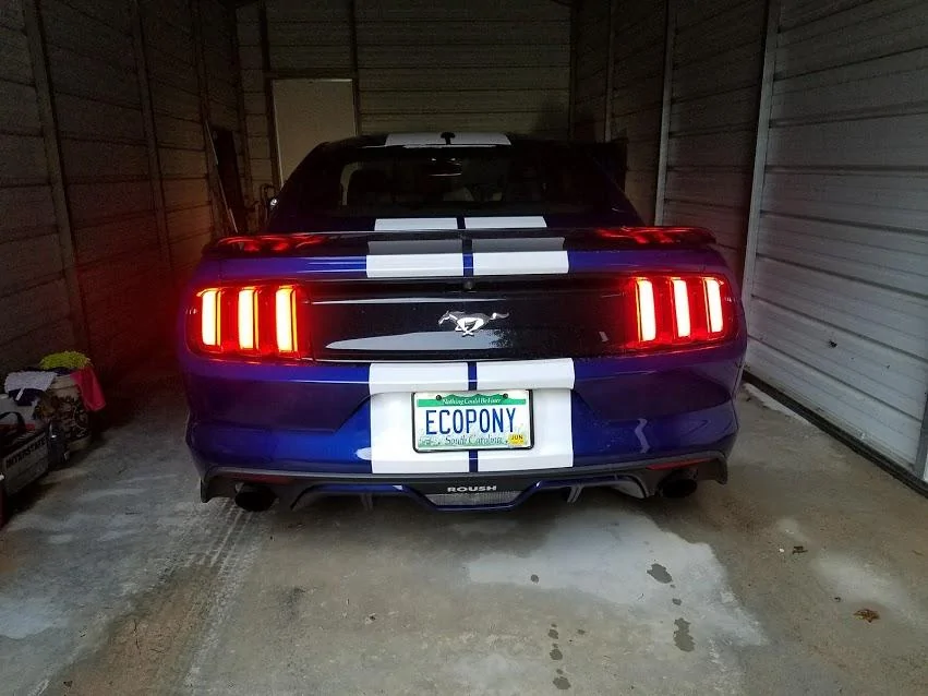 2015-plate-ecopony.webp