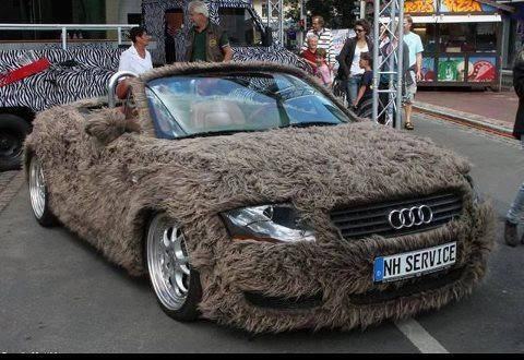 a2077e3ffe2568d8506cfd7acc7f9c6c--all-cars-crazy-cars.jpg