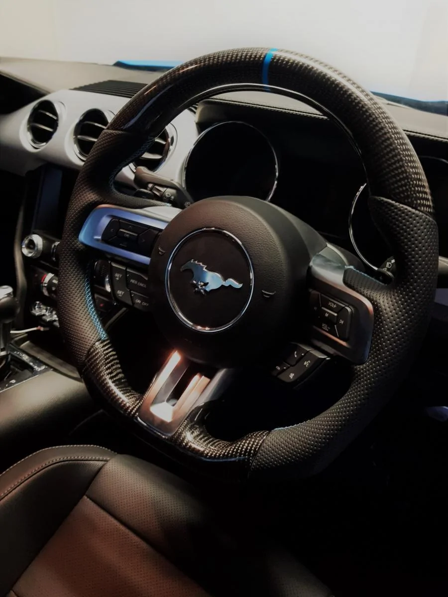 SteeringWheel2.webp